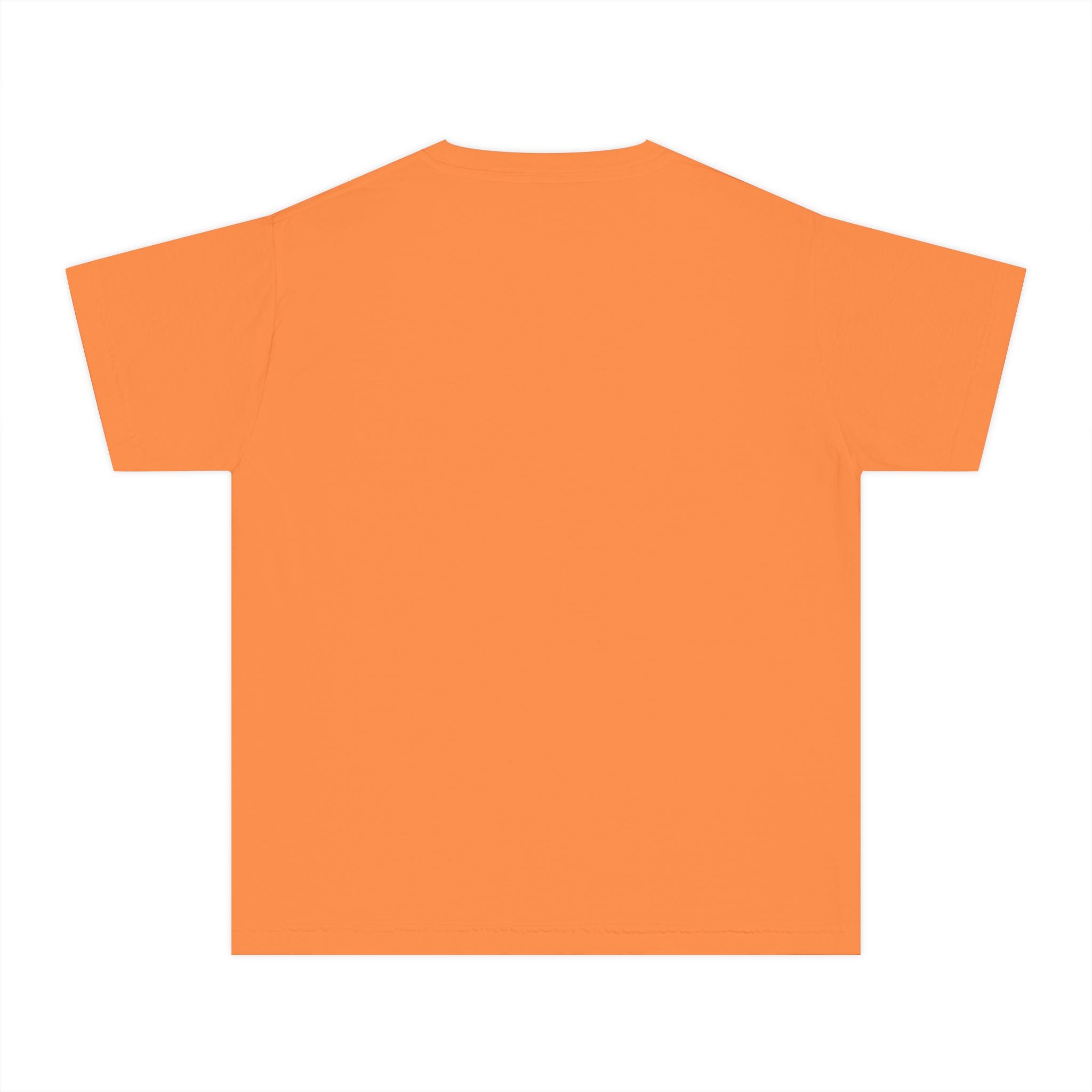 Sylvia's Best Friends Youth Midweight Tee - Design by Sylvia